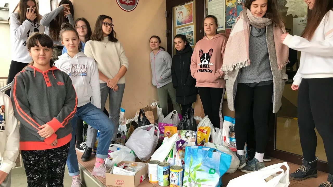 paczka dla zwierzaka